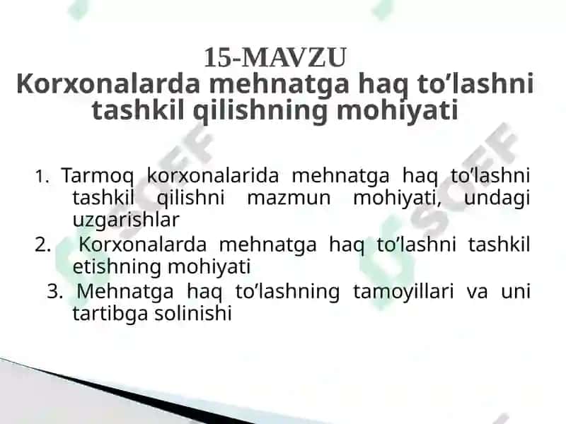 Mehnatni tashkiletish va me'yoriy tashkilotlar 2