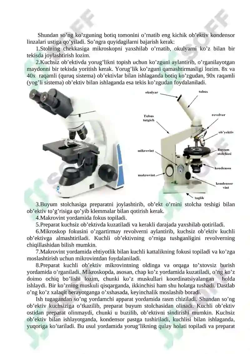 MIKROSKOPNING TUZILISHI. MIKROSKOP  BILAN ISHLASH QOIDALARI. 2