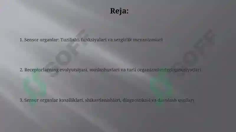 Sezgi organlari tomonidan tashqi signallarni qabul qilish: Ta'rif va turlari 2