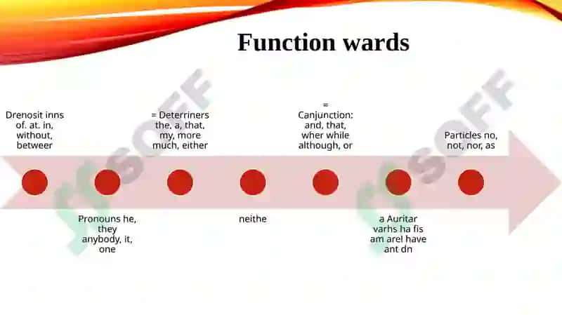 Function words 2
