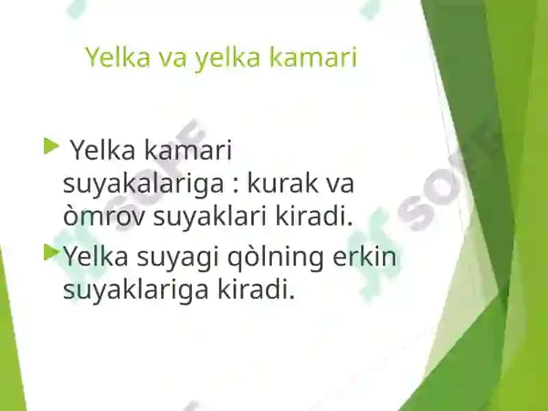 Yelka va Yelka kamari shikastlanishi 2
