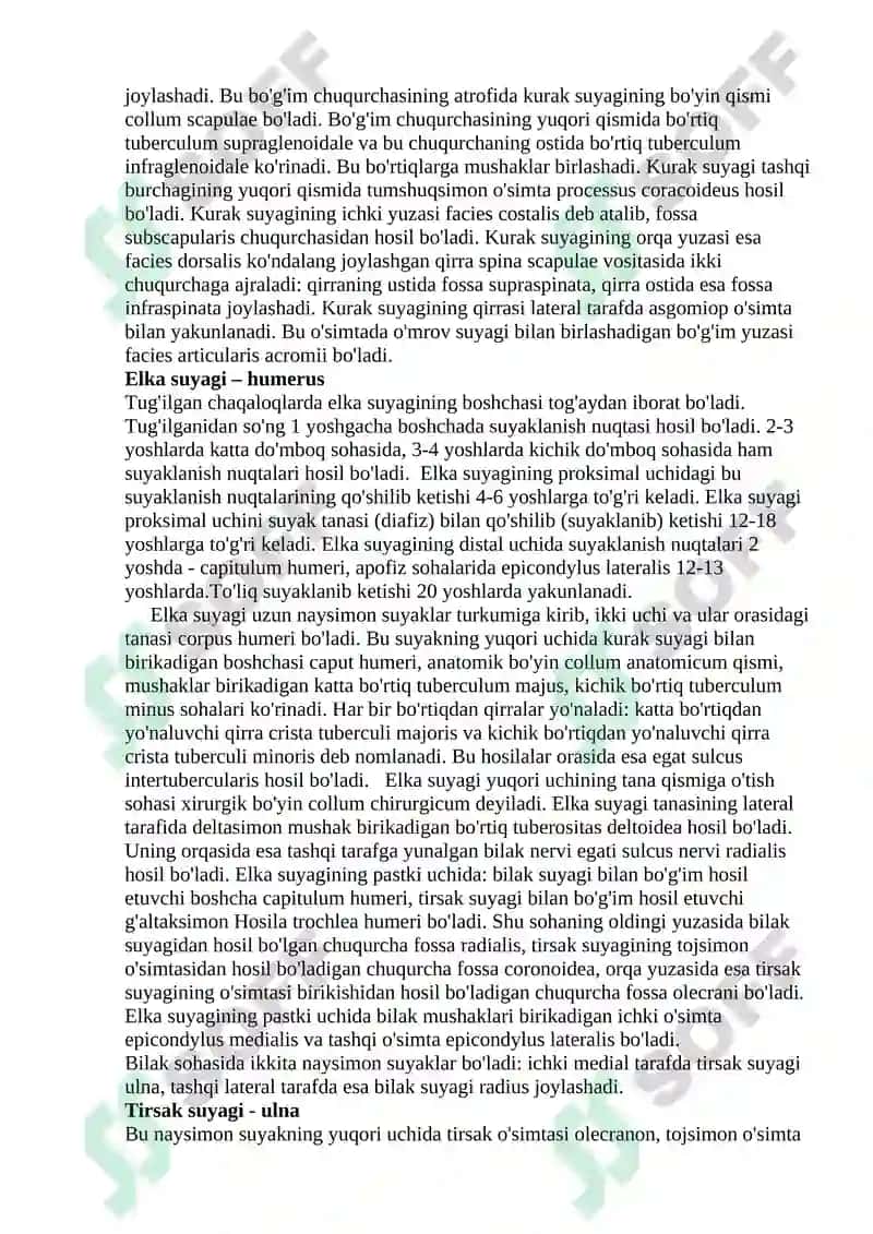 Qo'l suyaklarining tuzilishi va birikishi 2
