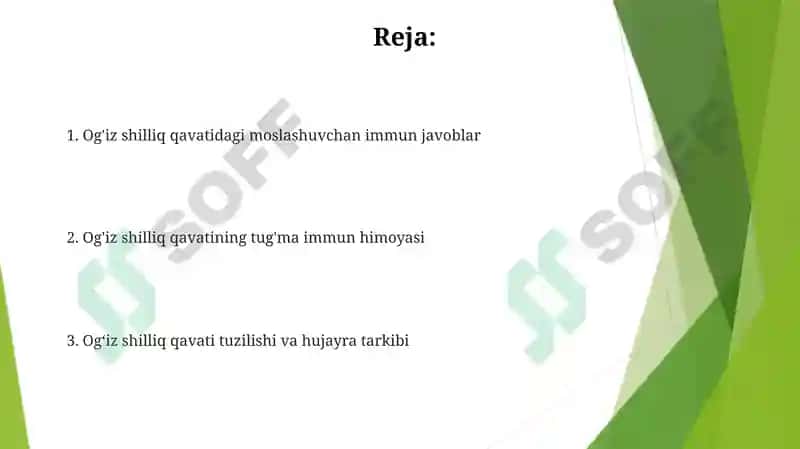 Ogʻiz boʻshligʻi shilliq qavatining himoya funksiyasining toʻqima va hujayra mexanizmlari 2