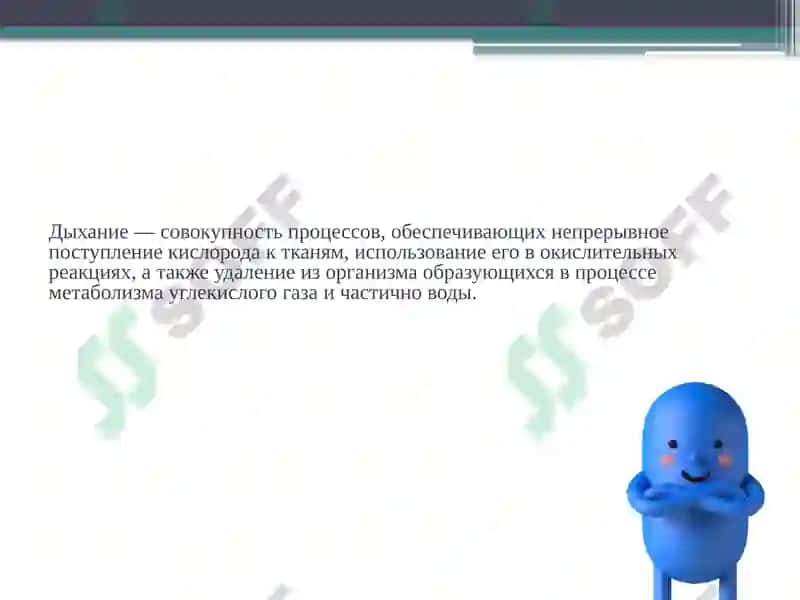 Анатомо-физиологические особенности органов дыхания детей 2