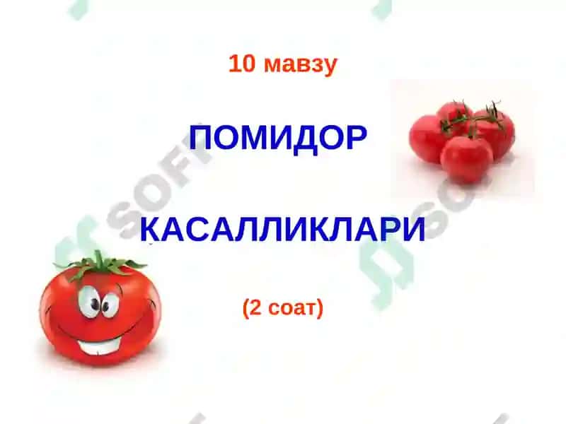 ҚИШЛОҚ ХЎЖАЛИКФИТОПАТОЛОГИЯСИ 2