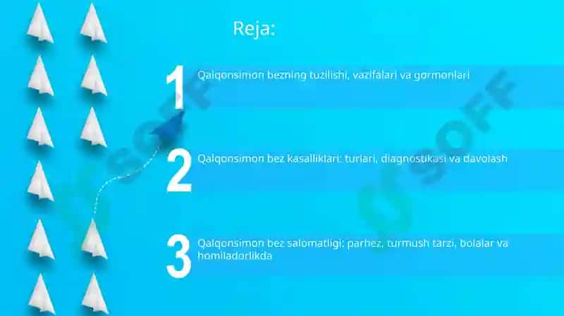 Qalqonsimon bez 2