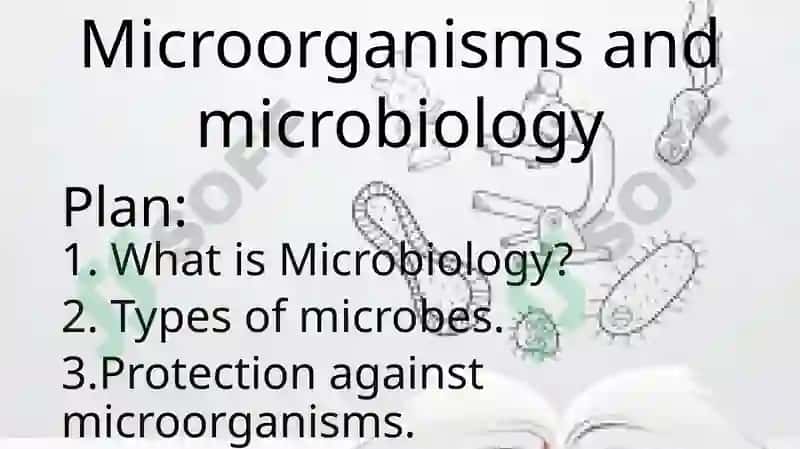Microbiology Lecture Notes 2