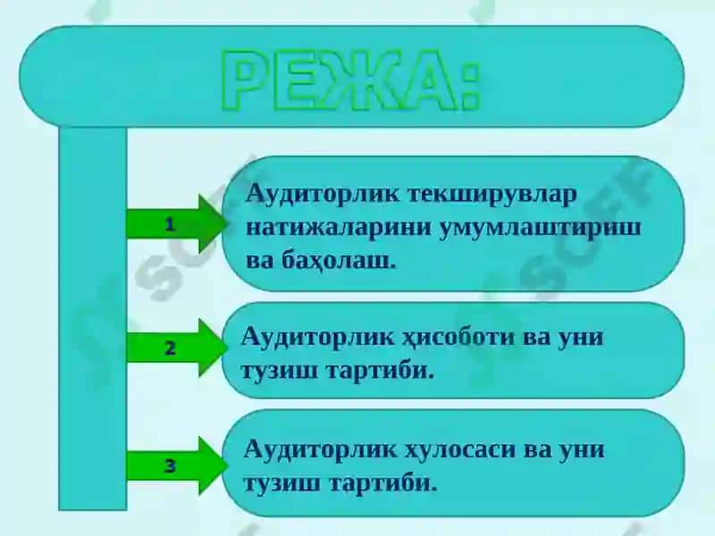 Аудиторлик текширувлар 2