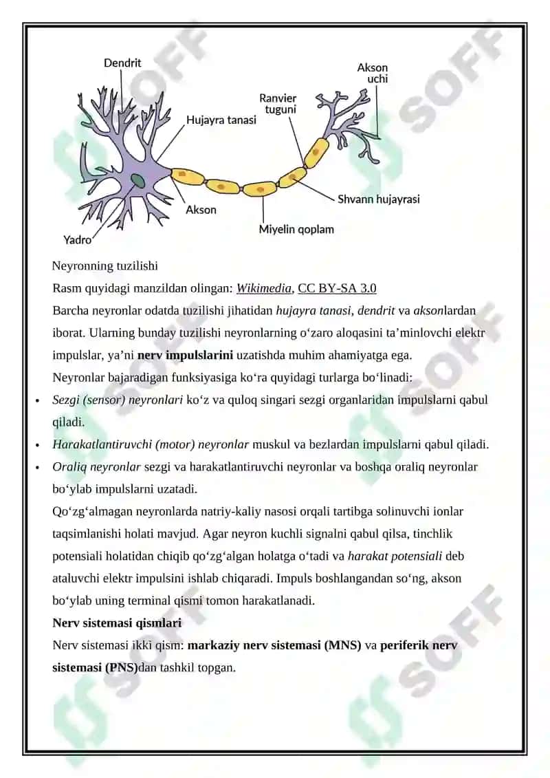 Organizmning nerv, endokrin-immun boshqariluvi 2
