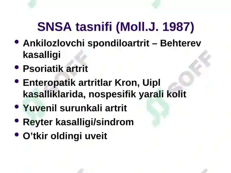 Seronegativ spondiloartritlar (SNSA) 2