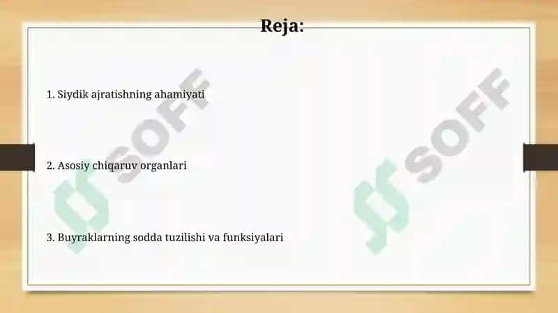 Siydik ajratish organlari va ularning faoliyati 2