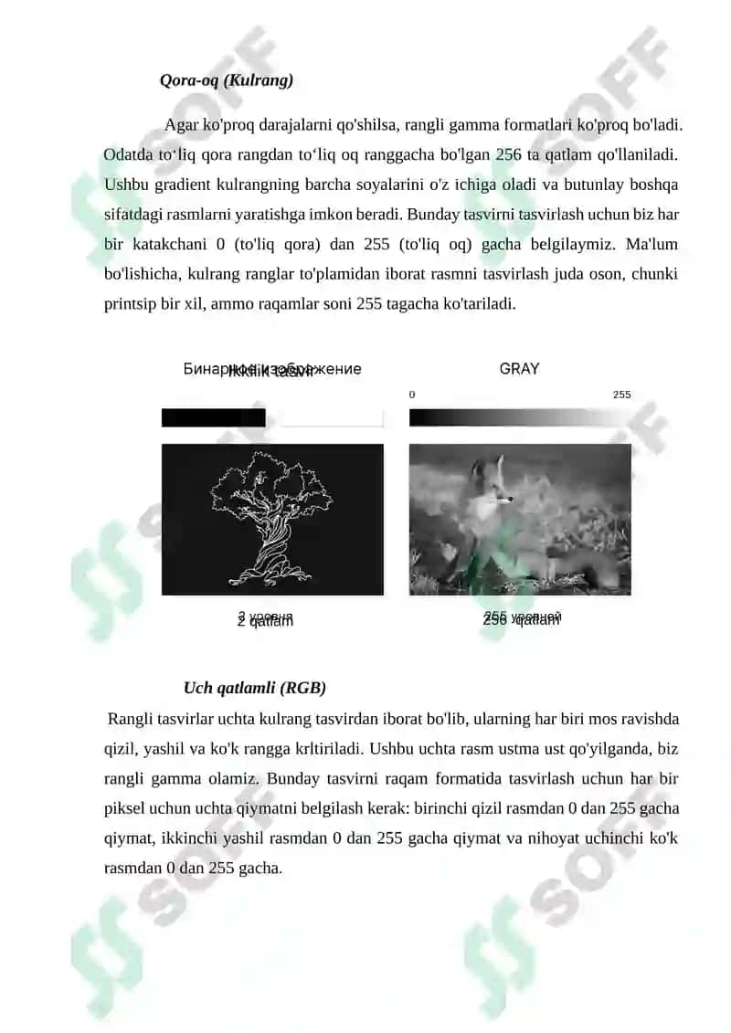 Tasvirni qayta ishlash: Rang formatlari 2