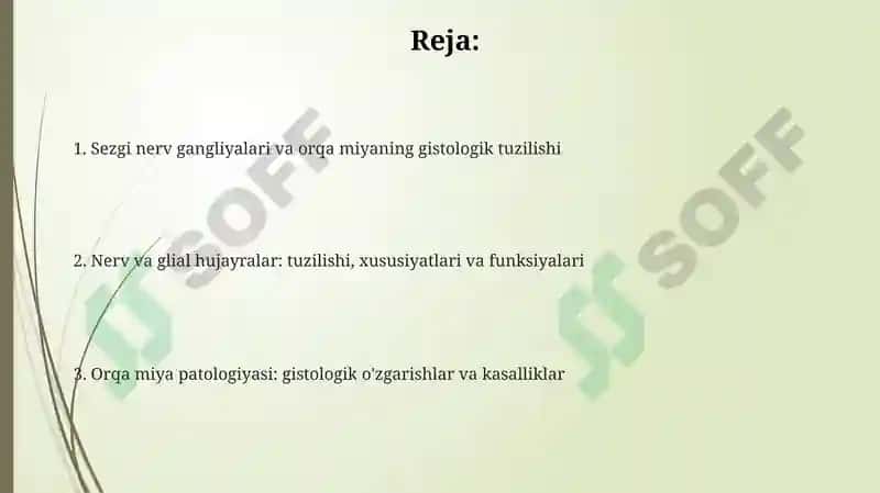 Nervtizimisezuvchi nervtugunlari orqamiyagistalogiya 2