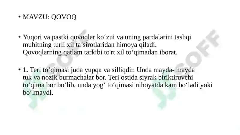 QOVOQ 2