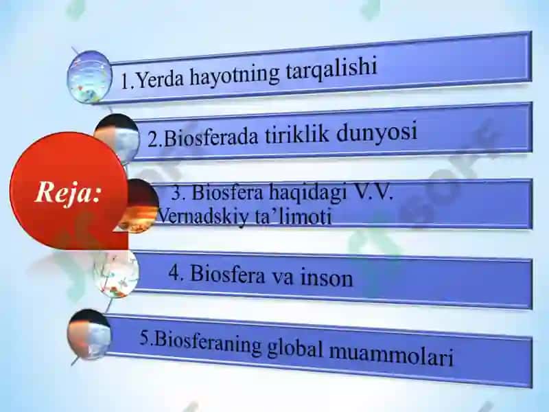 Biosfera mavzusida slayd 2