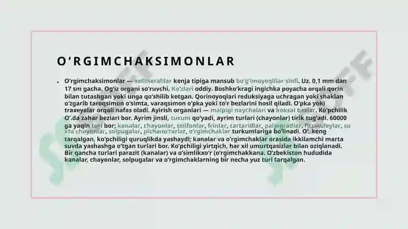 Oʻrgimchaksimonlar 2