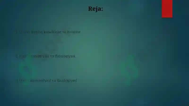 O'pka anatomiyasi va fiziologiyasi 2