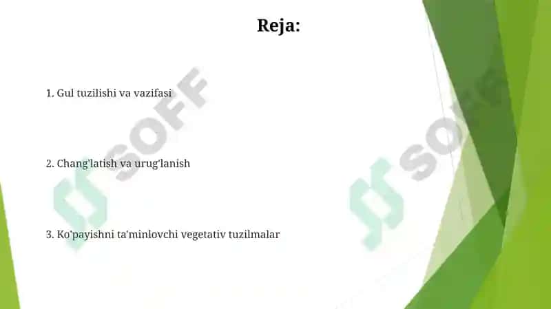 Òsimliklarni vegetativ va generativ organlari jinsiy kopayish 2