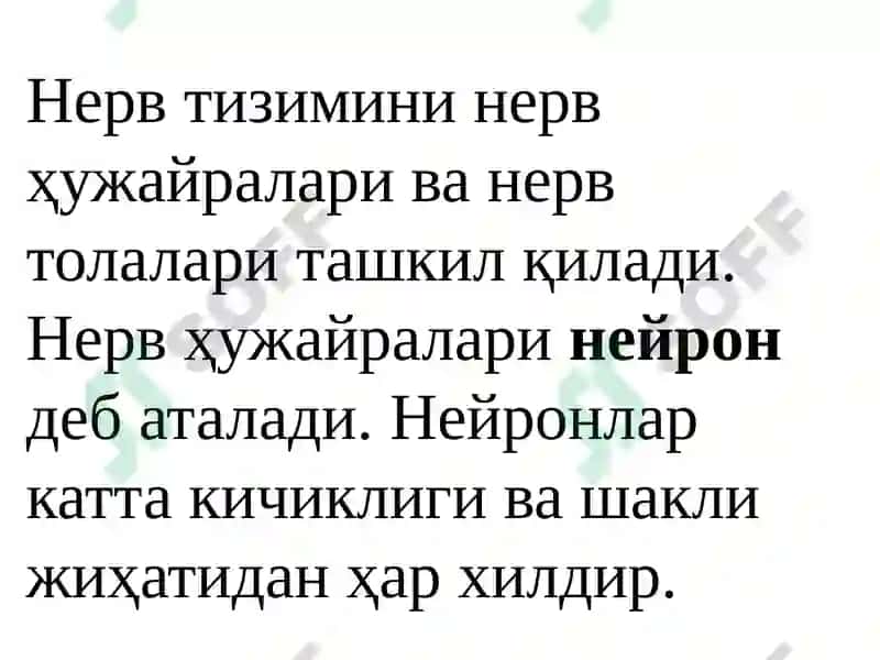 Nerv tizimi umumiy fiziologiyasi 2