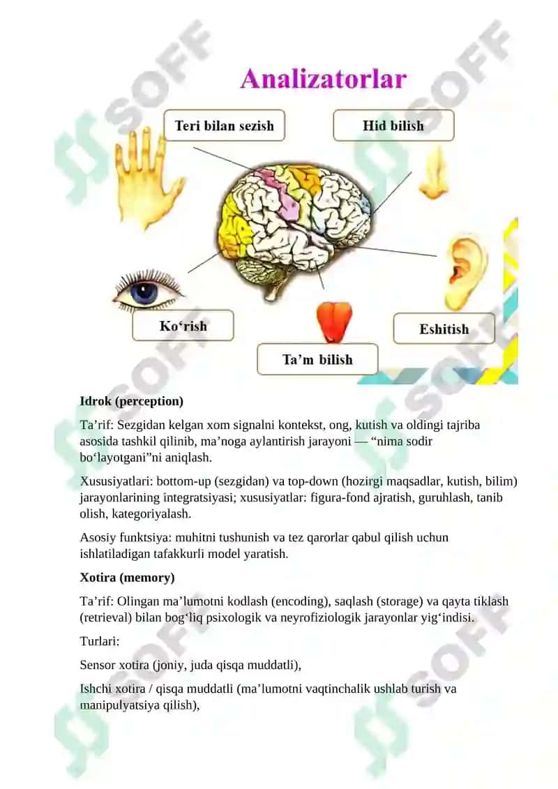 Sezgi (sensorika, sezgi informatsiyasi) 2