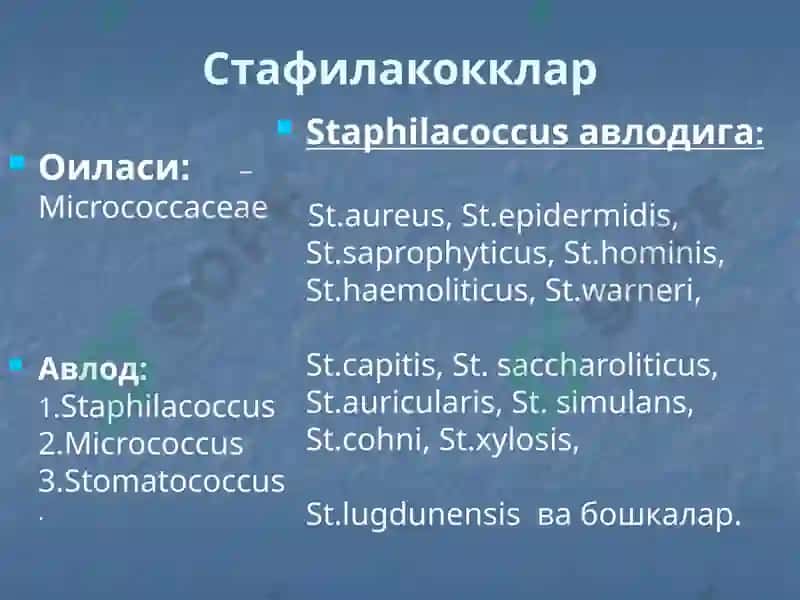 Йирингли яллиғланиш жараёнларини келтириб чиқарувчи микроорганизимлар. 2