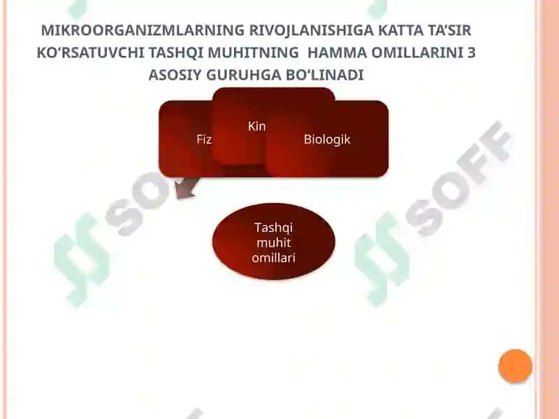 MIKROORGANIZMLARGATASHQI MUHIT OMILLARINING TA`SIRI 2