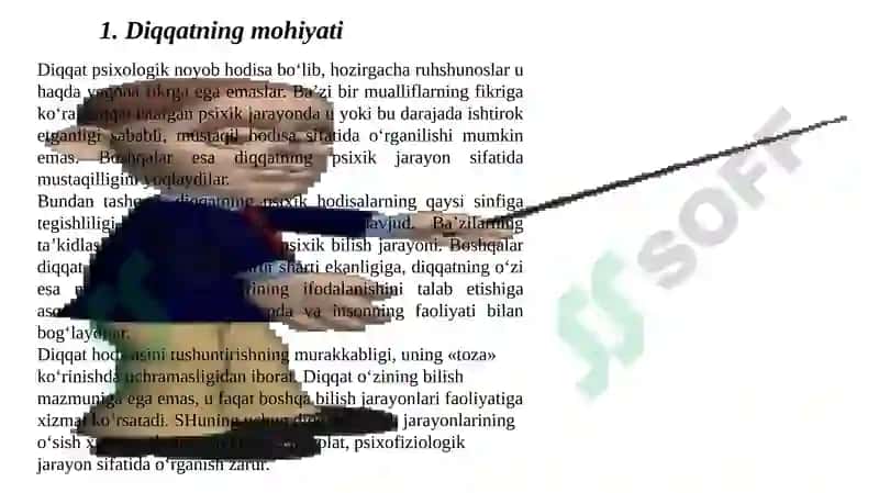 Diqqatning mohiyati 2