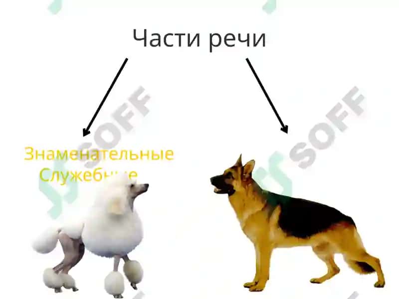 Части речи 2