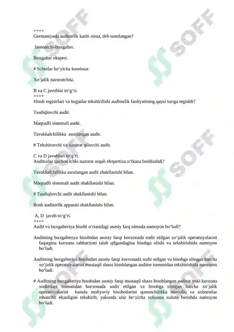 Auditorlik faoliyati 2