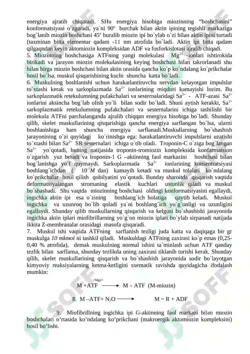 Muskul qisqarishi mexanizmi 2