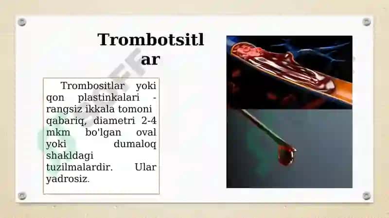 Gemostaz.Fibrinoliz 2