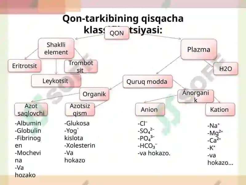 Qo`zg`aluvchan to`qimalarda bioeletrik hodisalar. Eritrotsitlar fiziologiyasi. Gemoglobin. (Laboratoriya mashg`uloti) 2