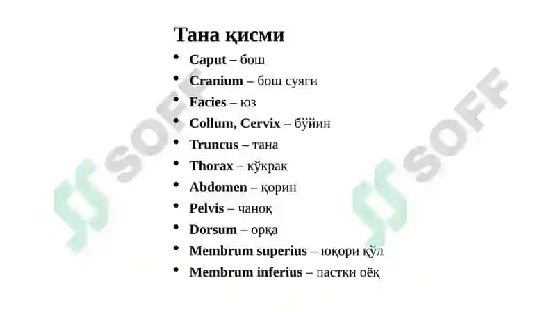 Йўналишватекисликлар 2