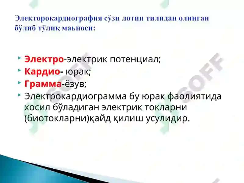 Электрокардиограмма 2