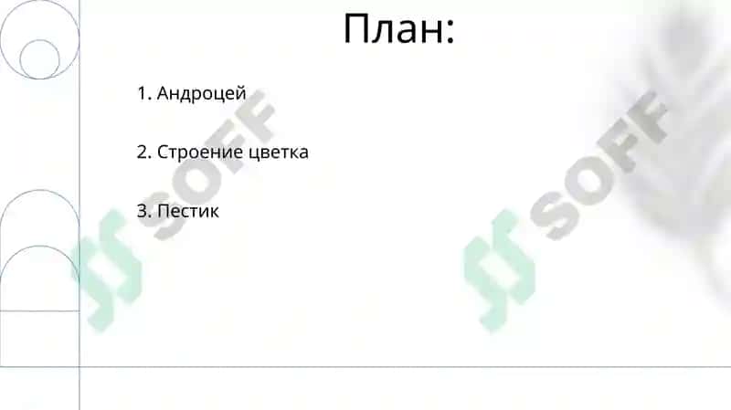Цветок. Строение цветка, андроцей и гинецей 2