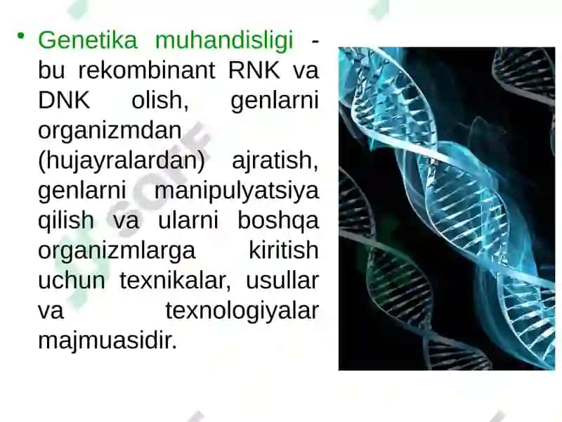 O'simliklargenetik muhandisligi imkoniyatlar va cheklovchi omillar 2