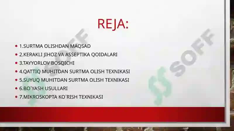 mustaqil ish mikrobiologiya 2