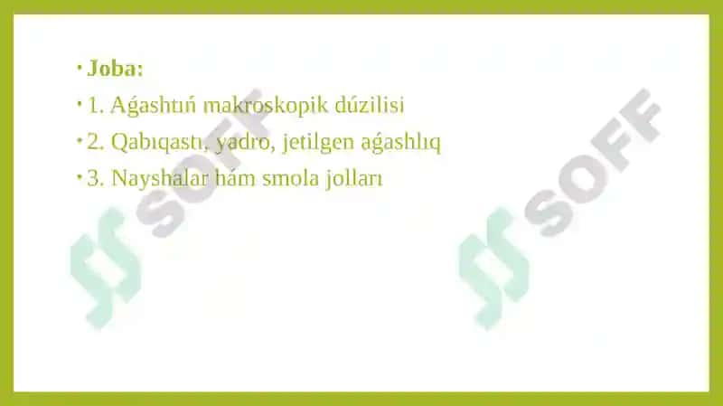 Aǵashtıń dúzilisi. Slayd 2