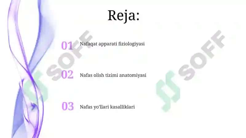 Nafas olish tizimi 2