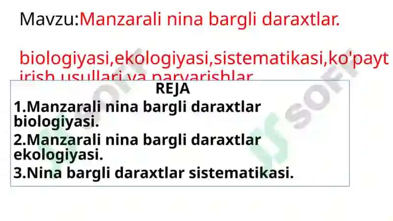 Manzarali Nina Bargli Daraxtlar 2