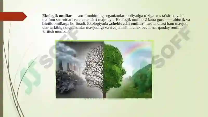 Ekologik omillar 2