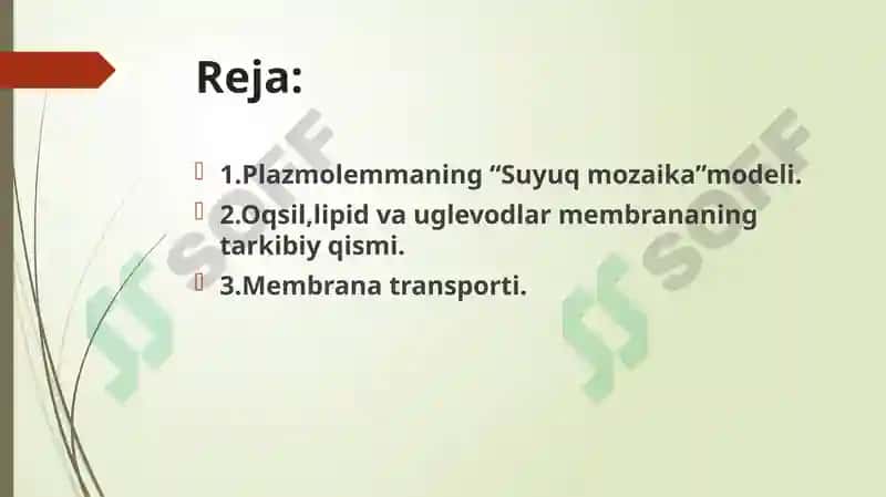 Plazmolemmaning “Suyuqmozaika” modeli 2