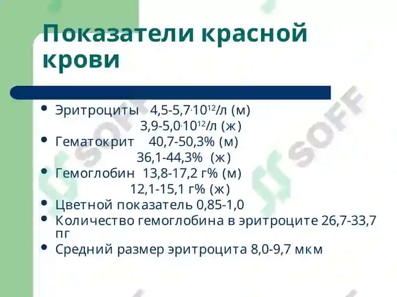 Лекция 13 Патофизиология красной крови 2