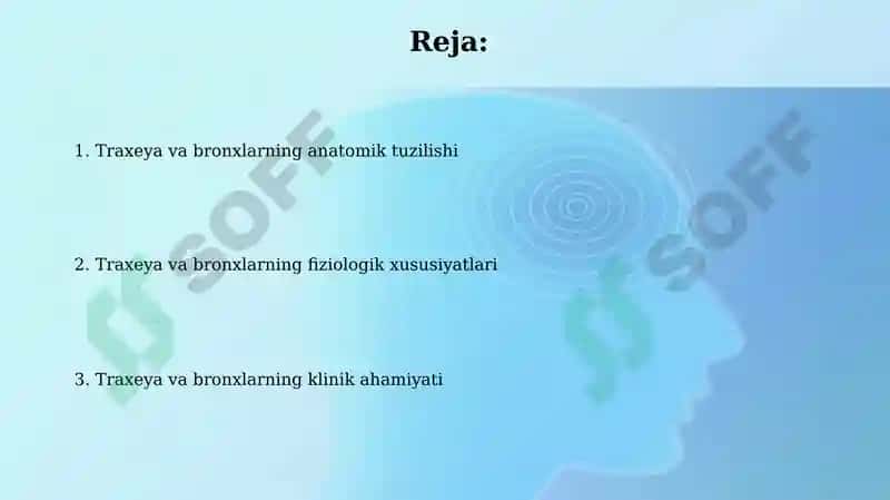Трахея ва бронхларнинг анатомо-физиологик хусусиятлари 2