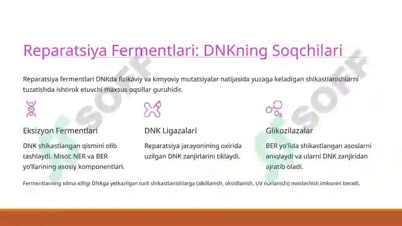 Reparatsiya fermentlari faoliyatining xilma-xilligi, Nolel genlar ta'siri va Pleiotropiya 2