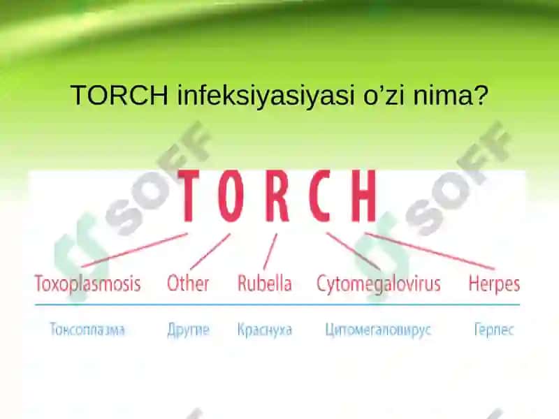 TORCH infeksiyasi 2