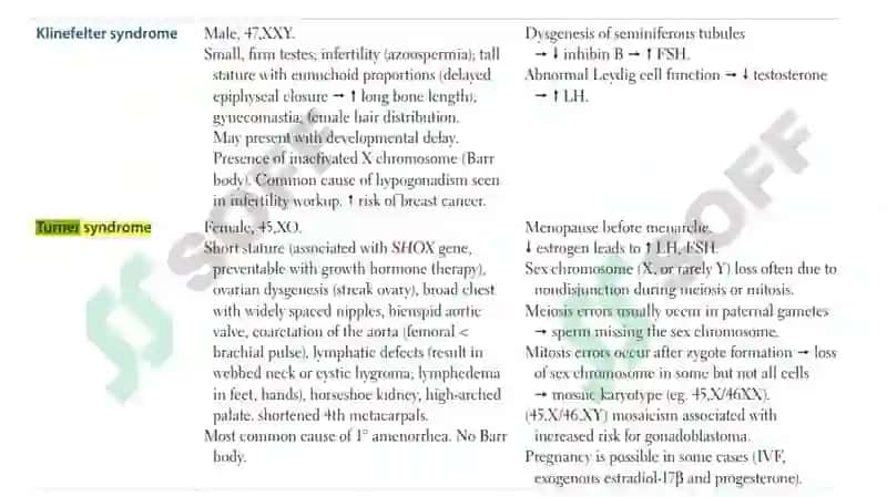 Shershevskiy-Turner syndrome 2