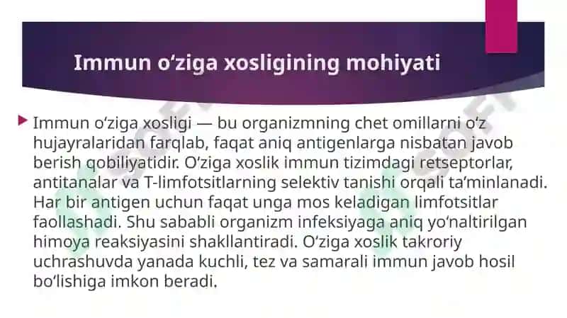 Immun o‘ziga xosligi. T-limfotsitlar va Markaziy Nerv tizimi (MNS) 2