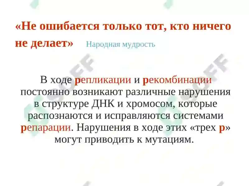 Клеточная биология. Мутации. 2