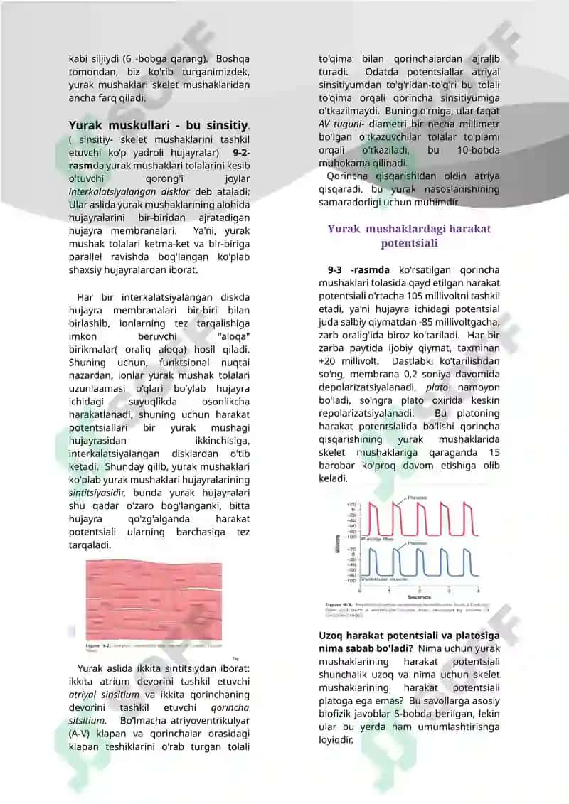 Yurak va qon aylanish tizimi 2